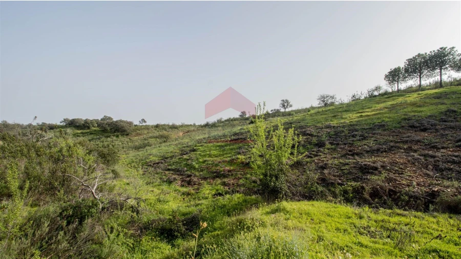 Terreno Agricola ou Rústico para Venda em Odeleite Foto 11