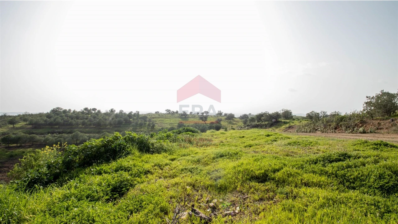 Terreno Agricola ou Rústico para Venda em Odeleite Foto 2