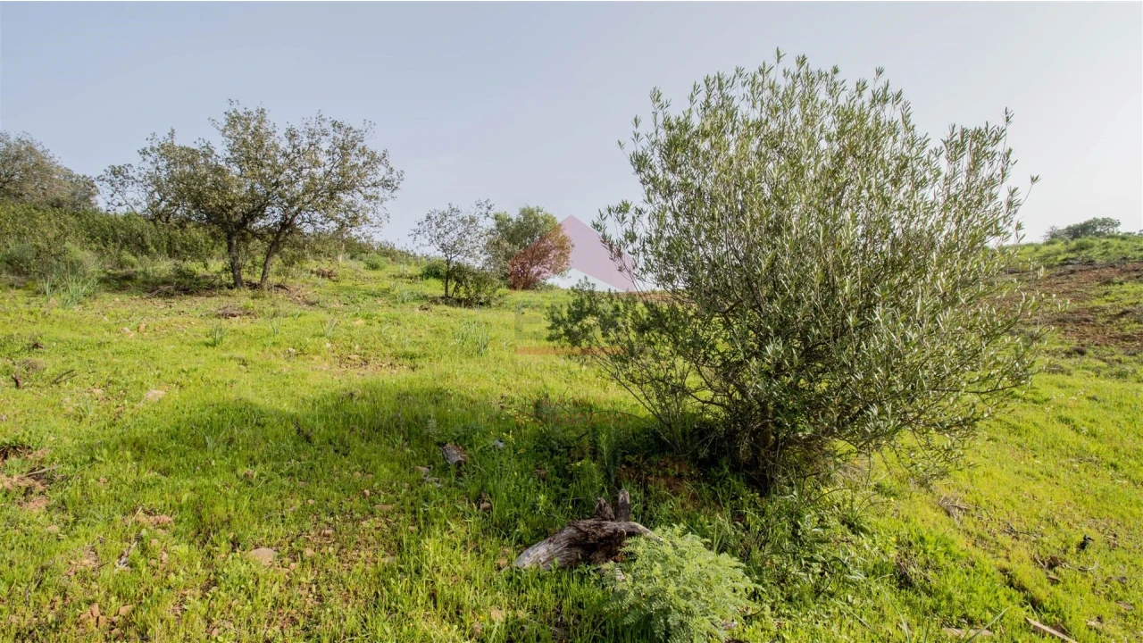 Terreno Agricola ou Rústico para Venda em Odeleite Foto 9