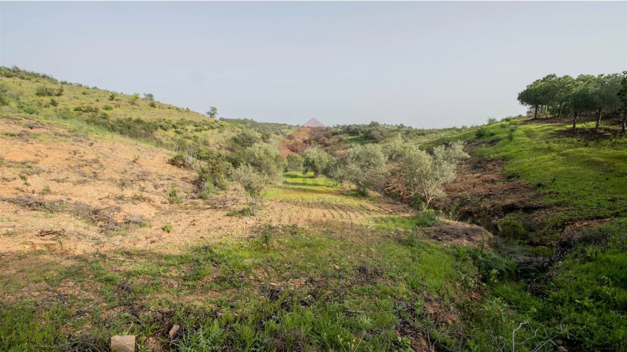 Terreno Agricola ou Rústico para Venda em Odeleite Foto 10