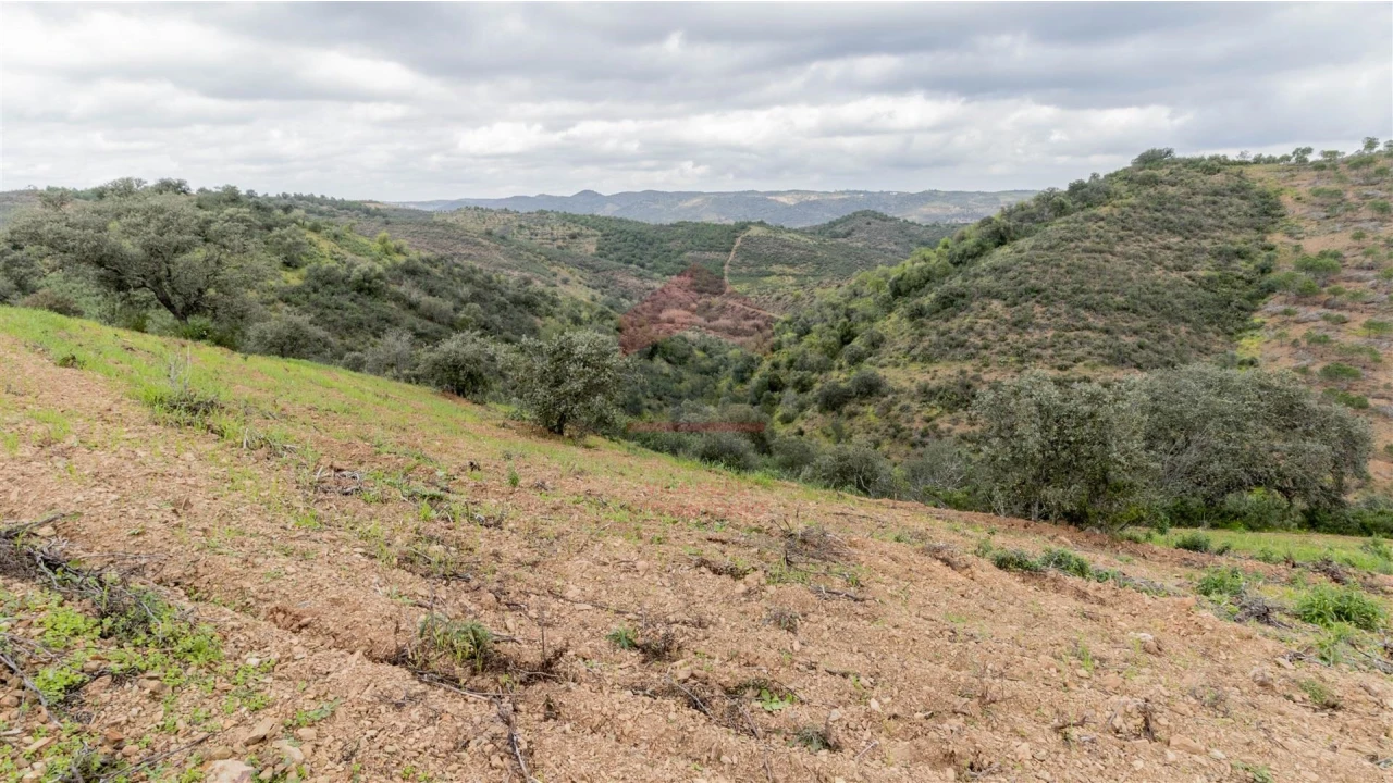 Terreno Agricola ou Rústico para Venda em Odeleite Foto 1