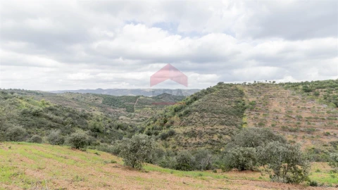 Terreno Agricola ou Rústico para Venda em Odeleite