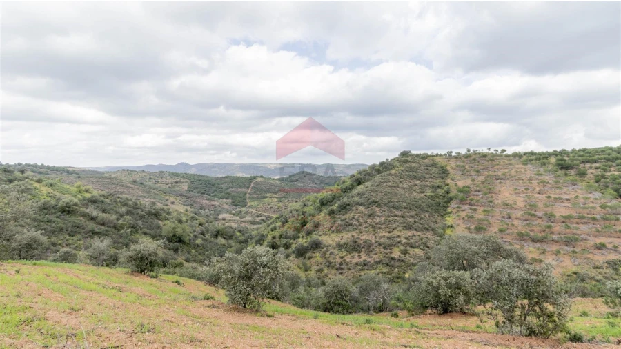 Terreno Agricola ou Rústico para Venda em Odeleite Foto 5