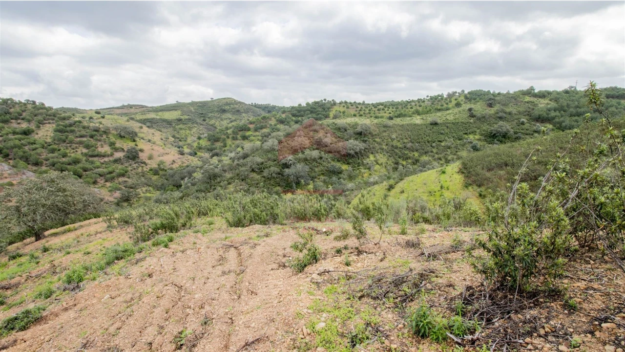 Terreno Agricola ou Rústico para Venda em Odeleite Foto 4