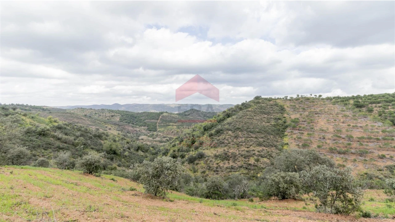 Terreno Agricola ou Rústico para Venda em Odeleite Foto 5