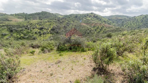 Terreno Agricola ou Rústico para Venda em Odeleite