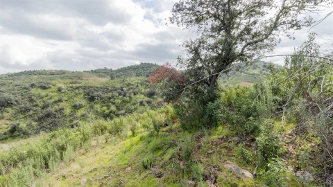 Terreno Agricola ou Rústico para Venda em Odeleite