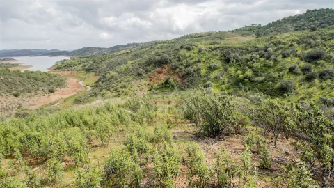 Terreno Agricola ou Rústico para Venda em Odeleite