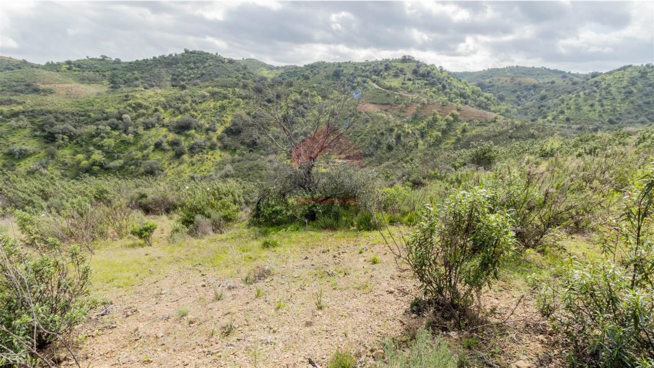 Terreno Agricola ou Rústico para Venda em Odeleite Foto 2