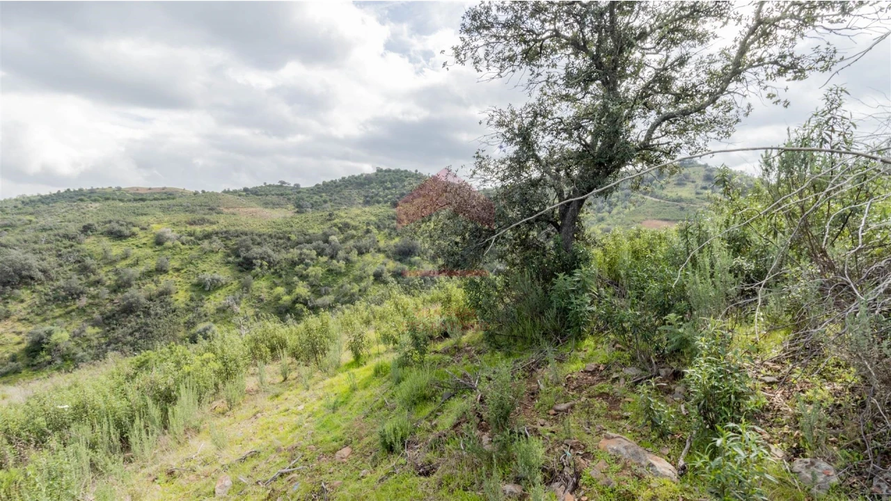 Terreno Agricola ou Rústico para Venda em Odeleite Foto 4