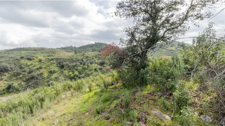 Terreno Agricola ou Rústico para Venda em Odeleite Foto 4