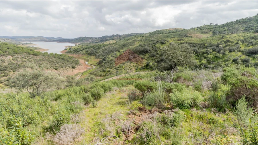Terreno Agricola ou Rústico para Venda em Odeleite Foto 3
