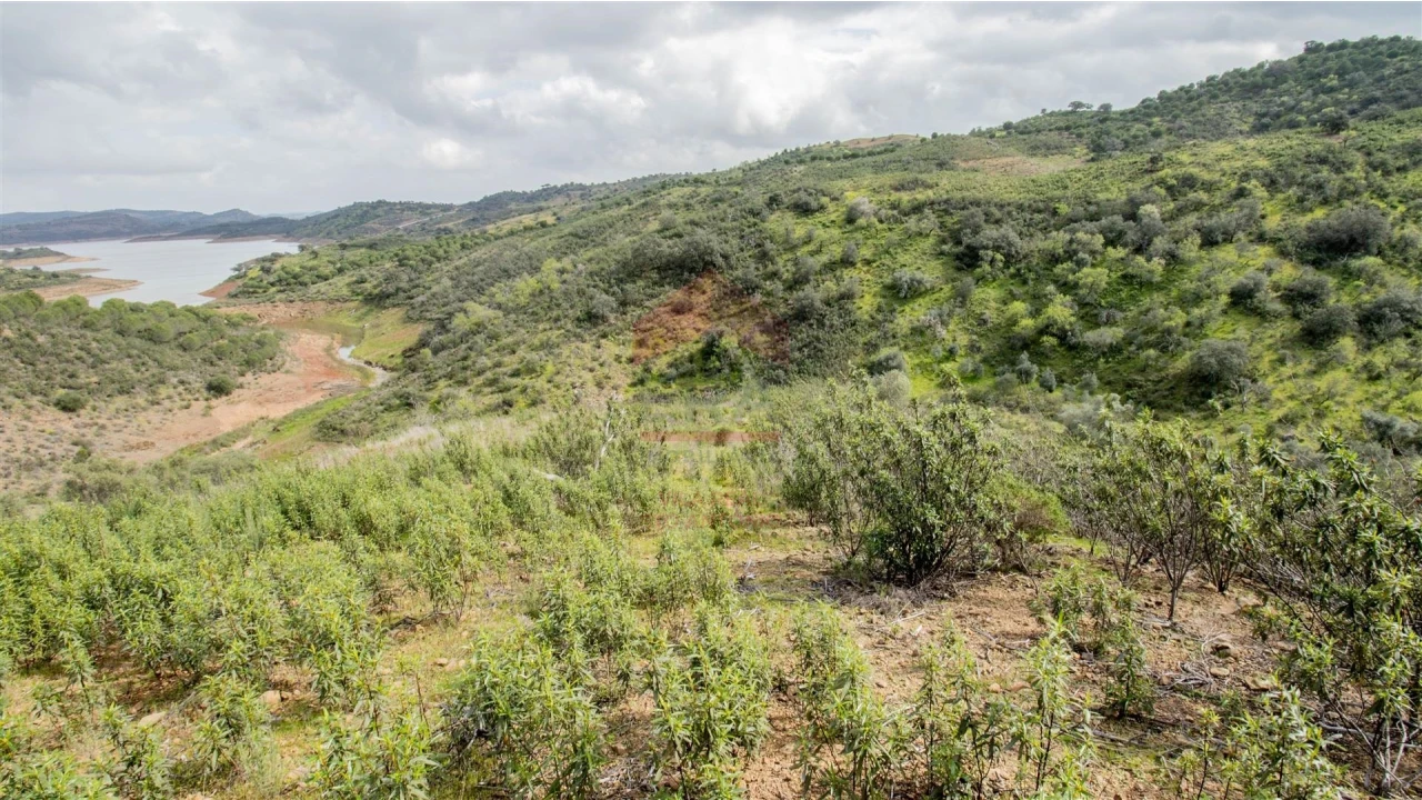 Terreno Agricola ou Rústico para Venda em Odeleite Foto 5