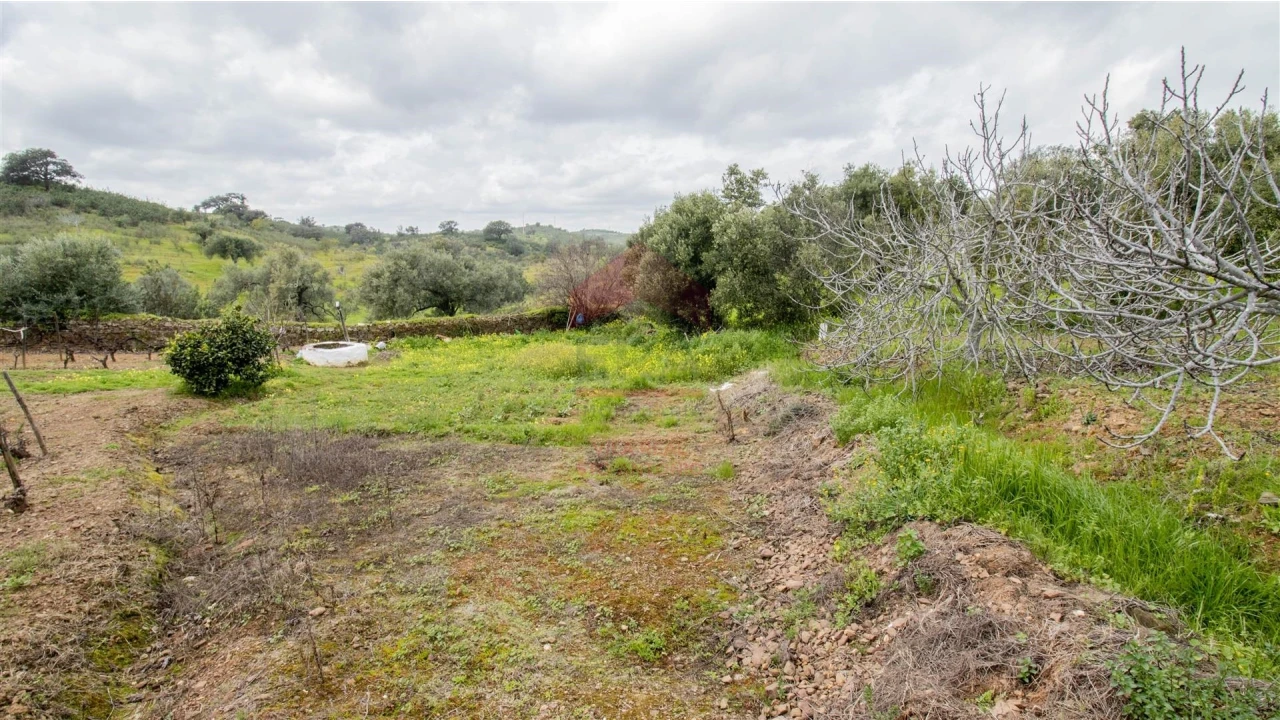 Terreno Agricola ou Rústico para Venda em Odeleite Foto 1