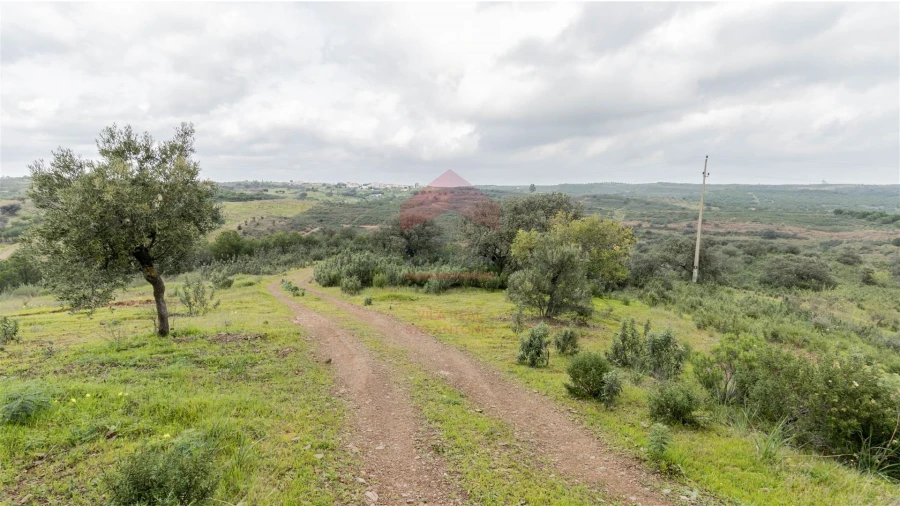 Terreno Agricola ou Rústico para Venda em Odeleite Foto 7