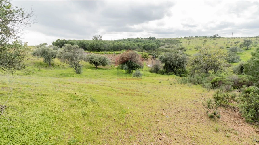 Terreno Agricola ou Rústico para Venda em Odeleite Foto 2