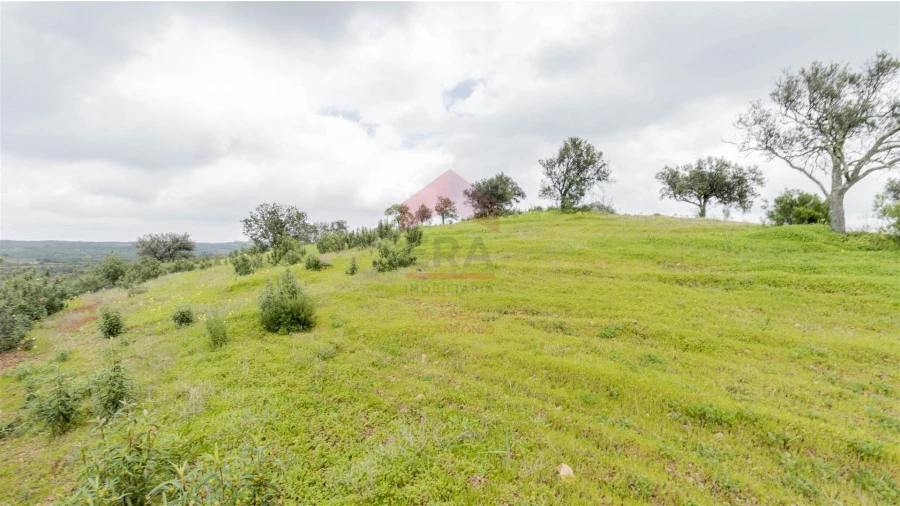 Terreno Agricola ou Rústico para Venda em Odeleite Foto 3