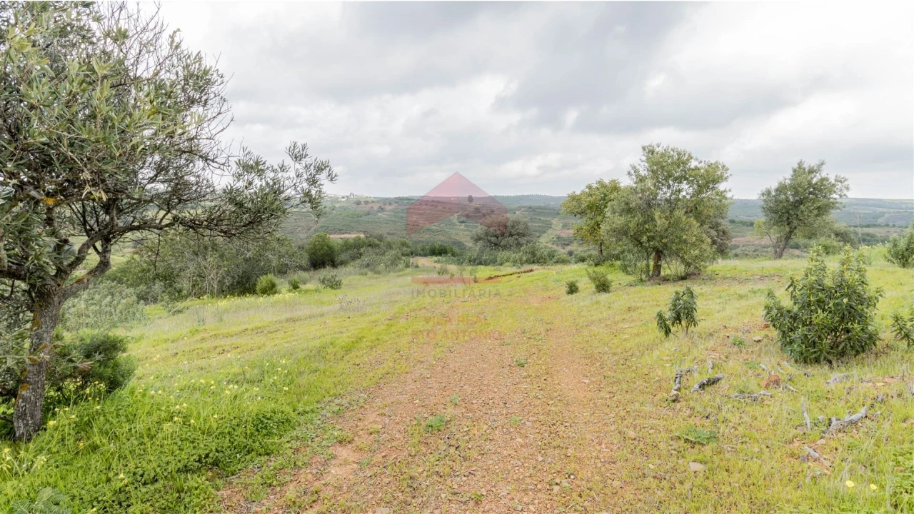 Terreno Agricola ou Rústico para Venda em Odeleite Foto 4