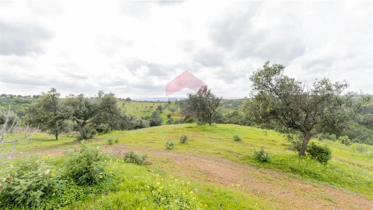Terreno Agricola ou Rústico para Venda em Odeleite Foto 5
