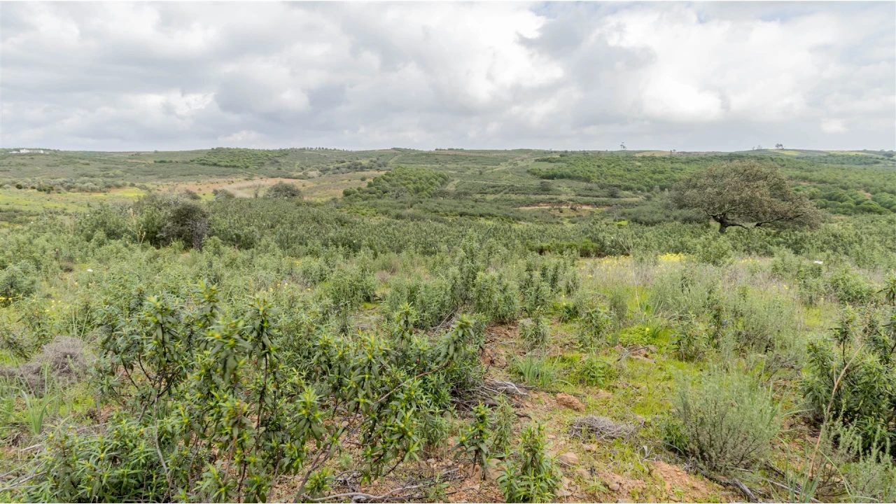 Terreno Agricola ou Rústico para Venda em Odeleite Foto 4