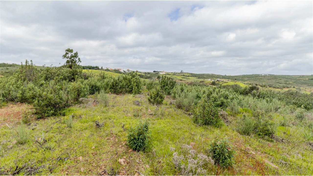 Terreno Agricola ou Rústico para Venda em Odeleite Foto 5
