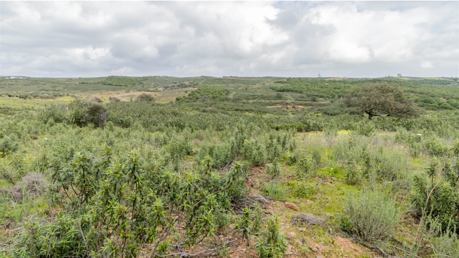 Terreno Agricola ou Rústico para Venda em Odeleite Foto 4