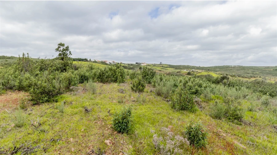 Terreno Agricola ou Rústico para Venda em Odeleite Foto 5