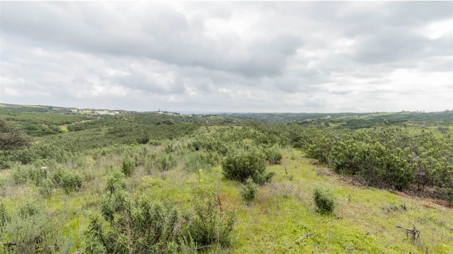 Terreno Agricola ou Rústico para Venda em Odeleite Foto 6