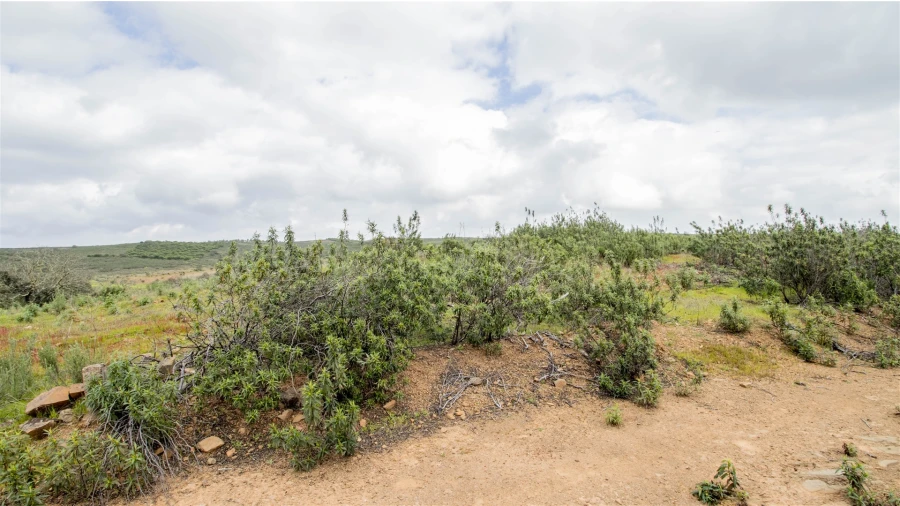 Terreno Agricola ou Rústico para Venda em Odeleite Foto 2