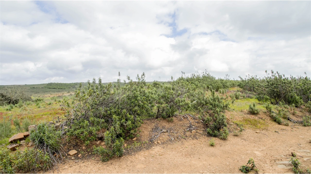 Terreno Agricola ou Rústico para Venda em Odeleite Foto 2