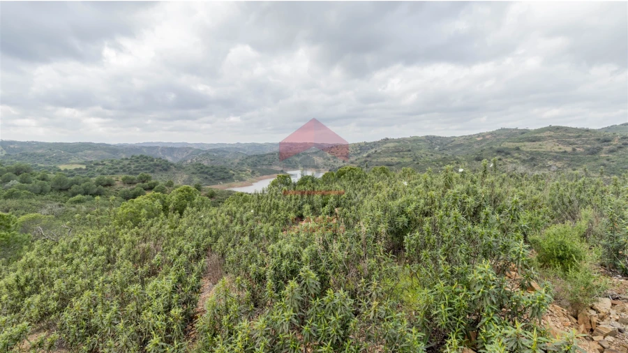 Terreno Agricola ou Rústico para Venda em Odeleite Foto 2