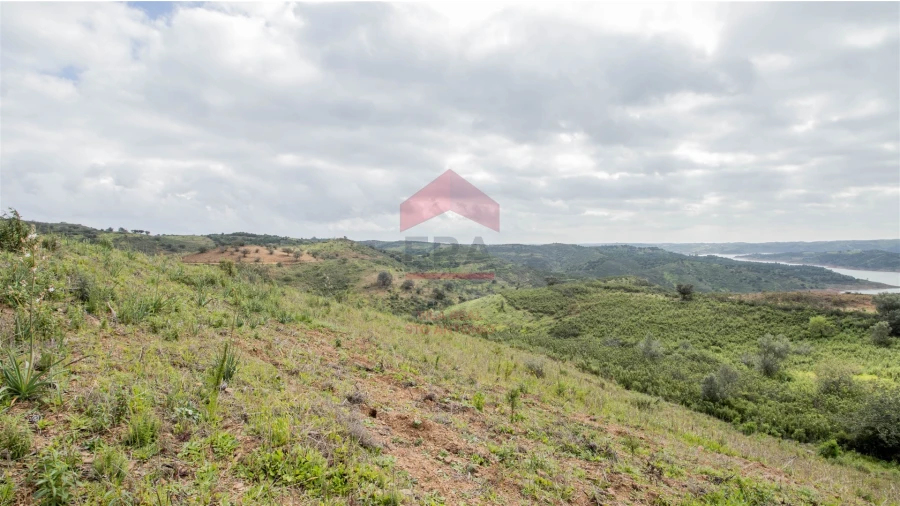 Terreno Agricola ou Rústico para Venda em Odeleite Foto 6
