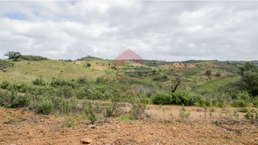 Terreno Agricola ou Rústico para Venda em Odeleite Foto 3