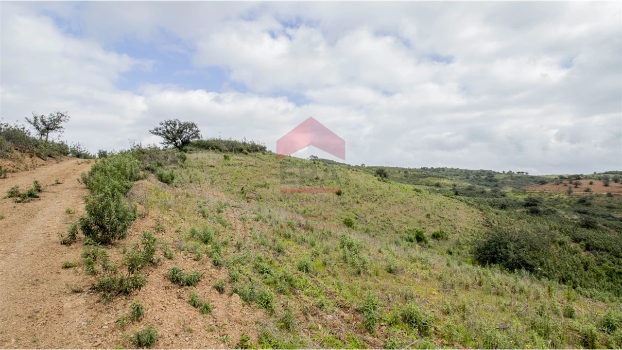 Terreno Agricola ou Rústico para Venda em Odeleite Foto 4