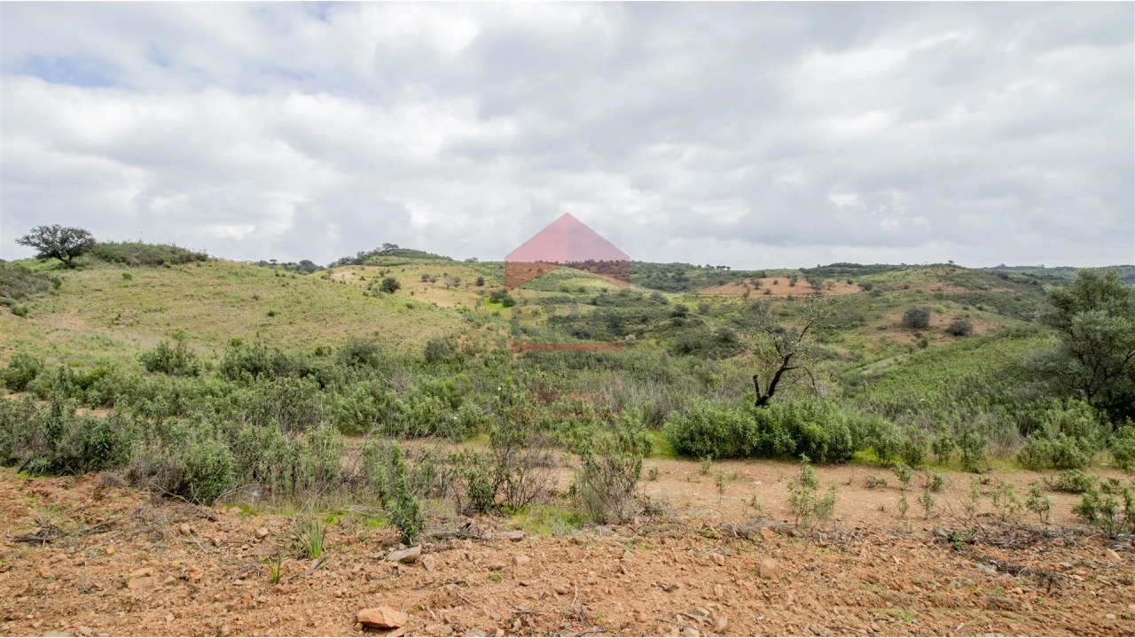 Terreno Agricola ou Rústico para Venda em Odeleite Foto 3