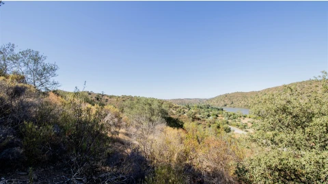 Terreno Agricola ou Rústico para Venda em Alcoutim e Pereiro