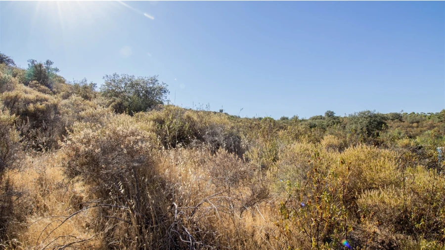 Terreno Agricola ou Rústico para Venda em Alcoutim e Pereiro Foto 5