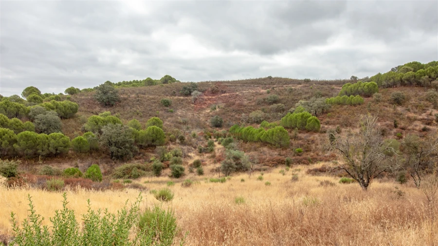 Moradia T2 para Venda em Vaqueiros Foto 7