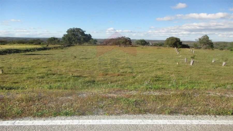 Terreno Agricola ou Rústico para Venda em Odeleite Foto 4