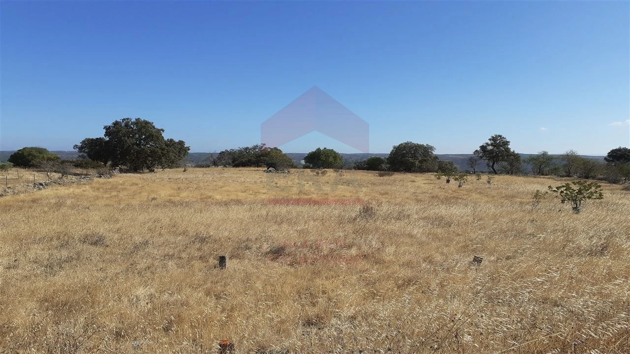 Terreno Agricola ou Rústico para Venda em Odeleite Foto 1