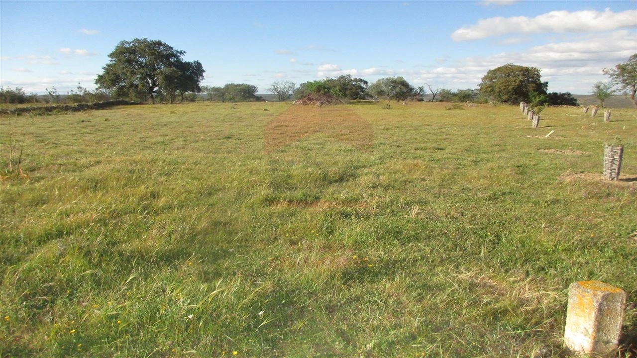 Terreno Agricola ou Rústico para Venda em Odeleite Foto 3