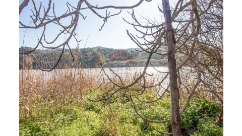 Terreno Agricola ou Rústico para Venda em Alcoutim e Pereiro