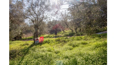 Terreno Agricola ou Rústico para Venda em Alcoutim e Pereiro