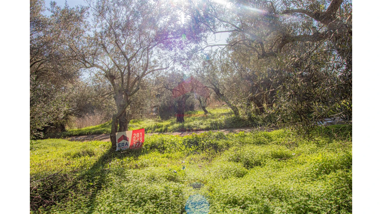 Terreno Agricola ou Rústico para Venda em Alcoutim e Pereiro Foto 3