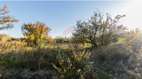 Terreno Agricola ou Rústico para Venda em Azinhal