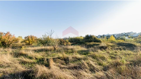 Terreno Agricola ou Rústico para Venda em Azinhal