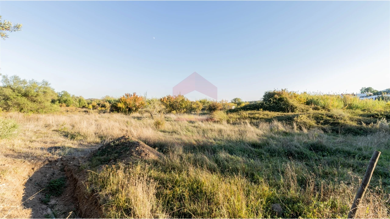 Terreno Agricola ou Rústico para Venda em Azinhal Foto 1