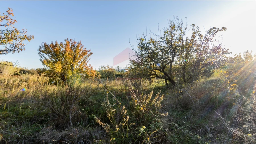 Terreno Agricola ou Rústico para Venda em Azinhal Foto 3