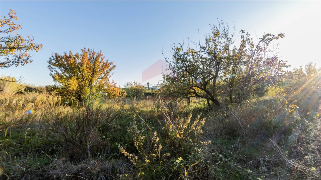 Terreno Agricola ou Rústico para Venda em Azinhal Foto 3