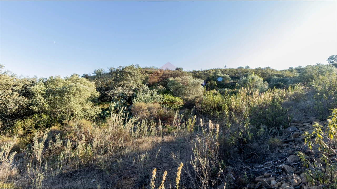 Terreno Agricola ou Rústico para Venda em Azinhal Foto 1